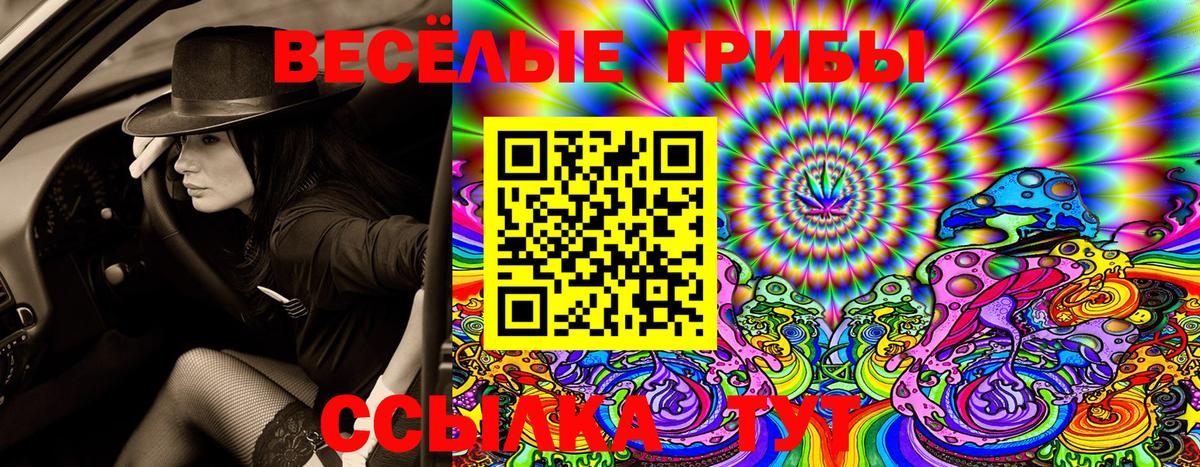 Куйбышев  Псилоцибиновые грибы Psilocybine cubensis  Вход с VPN  Псилоцибиновые грибы Magic Shrooms 